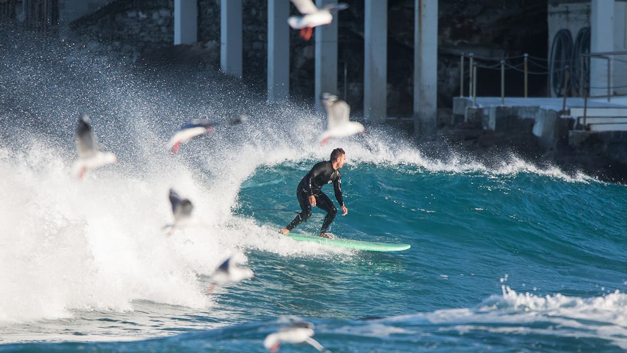 Die Welle richtig surfen